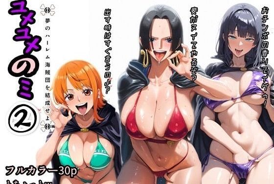 ナミ、ロビン、ハンコック達が洗脳されレイプ支配に堕ちるワンピースエロ同人誌【ユメユメのミ〜夢のハーレム海賊団を結成せよ〜 2】の表紙画像