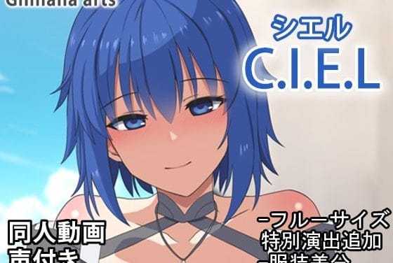 シエルがビーチで足コキ中出しされるFateエロアニメ動画【シエル - 同人動画 （ぎんハハ）2024年】の表紙画像