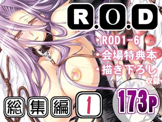 メドゥーサが前は守りながらアナル開発に沈んでいくFateエロ同人誌【R.O.D -Rider or Die- 総集編1】の表紙画像