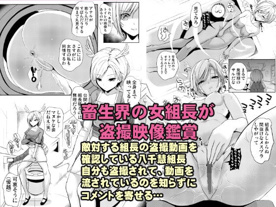 吉弔八千慧が盗撮映像を見ながら羞恥に濡れる東方エロ同人誌【仁義なき畜生達の輪舞曲（ロンド）】の表紙画像