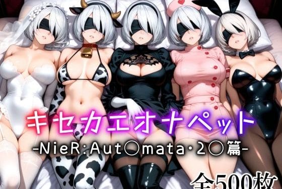 2Bがラブホで肉便器として使い倒されるニーアオートマタエロ同人誌【キセカエオナペット -NieR Aut◯mata・2◯篇-】の表紙画像