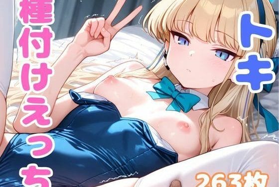 飛鳥馬トキがバニー＆メイド姿で巨乳ご奉仕に溺れるブルアカエロ同人誌【ブル●カのトキと種付けえっち】の表紙画像