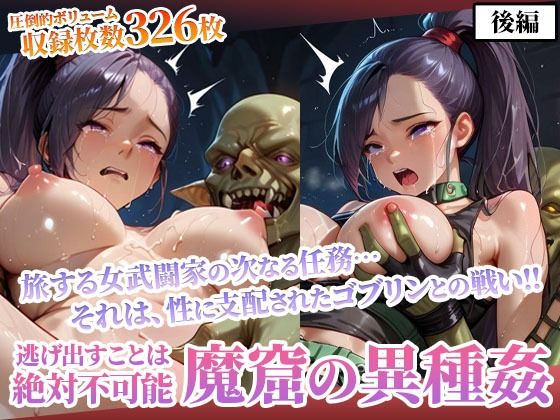 マルティナがゴブリンに輪姦され絶望するドラクエエロ同人誌【性欲渦巻くゴブリンの魔窟で絶望に喘ぐ女武闘家-後編】の表紙画像