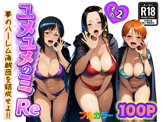 ナミ・ロビン・ハンコックが洗脳ハーレム化されるワンピースエロ同人誌【ユメユメのミRe 〜夢のハーレム海賊団を結成せよ〜 その2】の表紙画像
